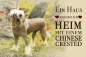 Preview: Metallschild Chinese Crested